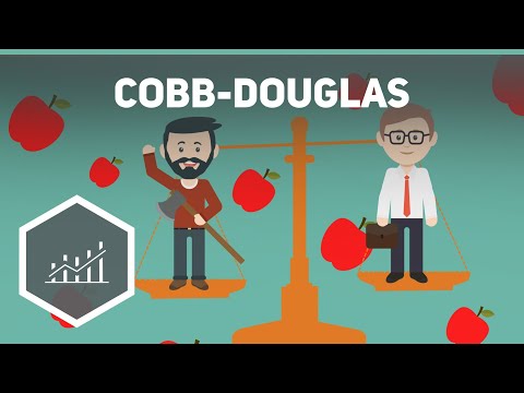 Die Cobb-Douglas-Produktionsfunktion - Realwirtschaft 3