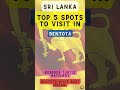 Top 5 Spots To Visit In Bentota Sri Lanka Top 5 Spots To Visit In Bentota Sri Lanka
