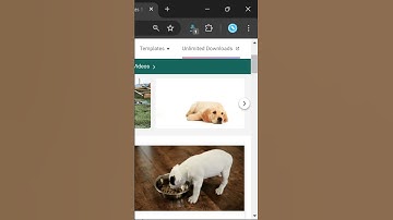 How to Download Any Video from Any Website on Chrome? (.m3u8 .hls .mp4 .mkv .vtt .srt & CC & more)