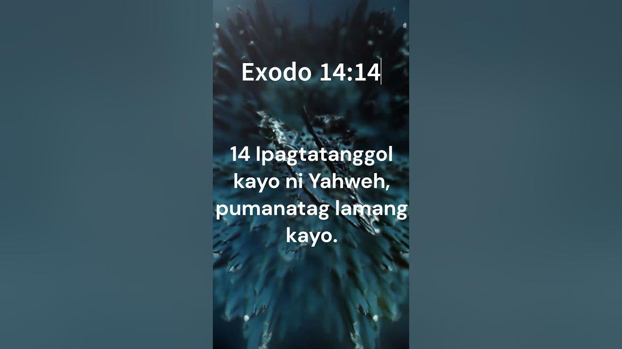 Exodo 14 14 TAGALOG BIBLE Holy Bible audio BIble With Text shorts xodo-20-15-rv1960-no-hurtar-s