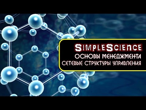 Основы менеджмента  Сетевая структура управления