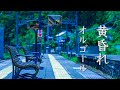 心を落ち着かせる、癒しのオルゴール【ゆったり睡眠用BGM】