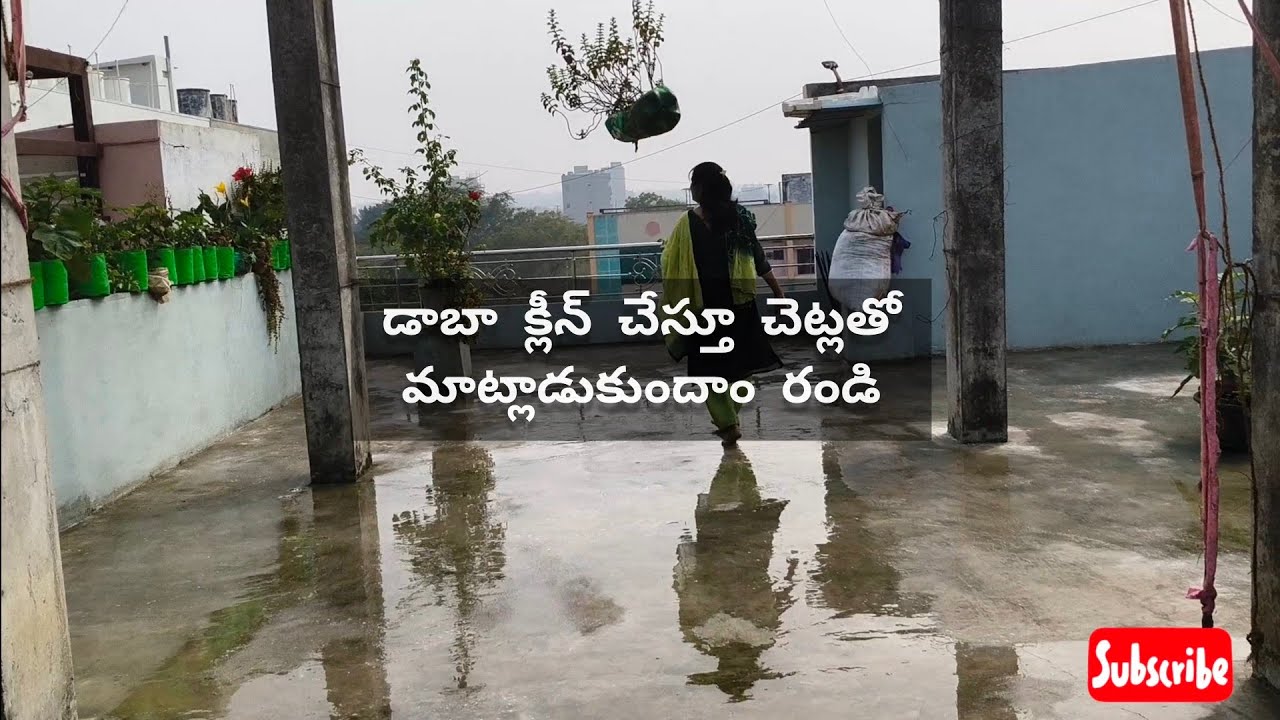 డాబా క్లీన్ చేస్తూ చెట్లతో మాట్లాడుకుందాం రండి  