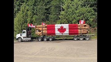 Bolt Logging: Logging in FS19