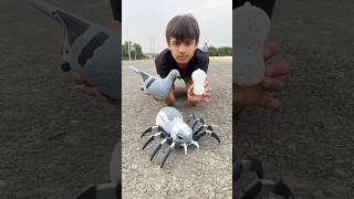 Rc Remote Control Pigeon Birds With Spider 🕷️ Unboxing 😱