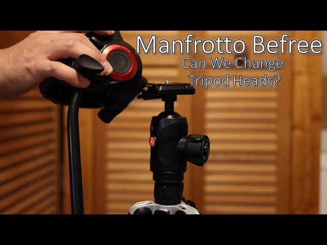 Manfrotto Befree: Can We Change Tripod Heads? - YouTube