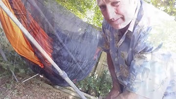 New Fronkey with a Twist