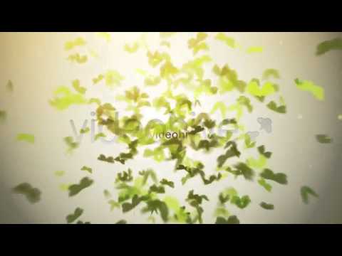 After Effects Template Butterfly Logo Youtube