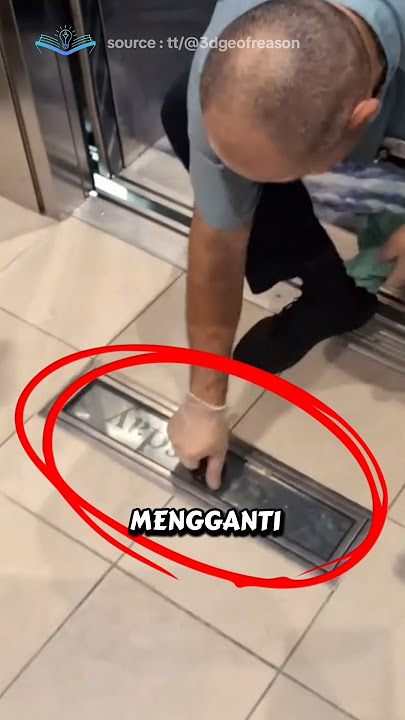This Relaxing Job Has Gone Viral!!!
