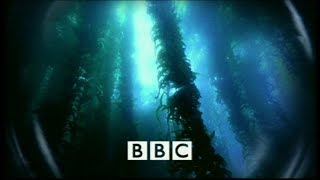 Blue Planet - Seas of Life (2001) DVD/VHS Intro Song, Imagery, Credits