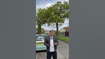 Females visa ratio #asifayyaz59 #usavisa #visainfo #visatips #visaguidance