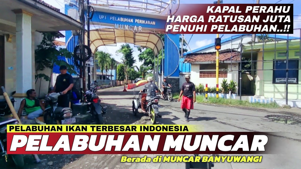 Pelabuhan Ikan Terbesar Indonesia! Melihat Besarnya Pelabuhan Muncar Banyuwangi Terbaru 2025
