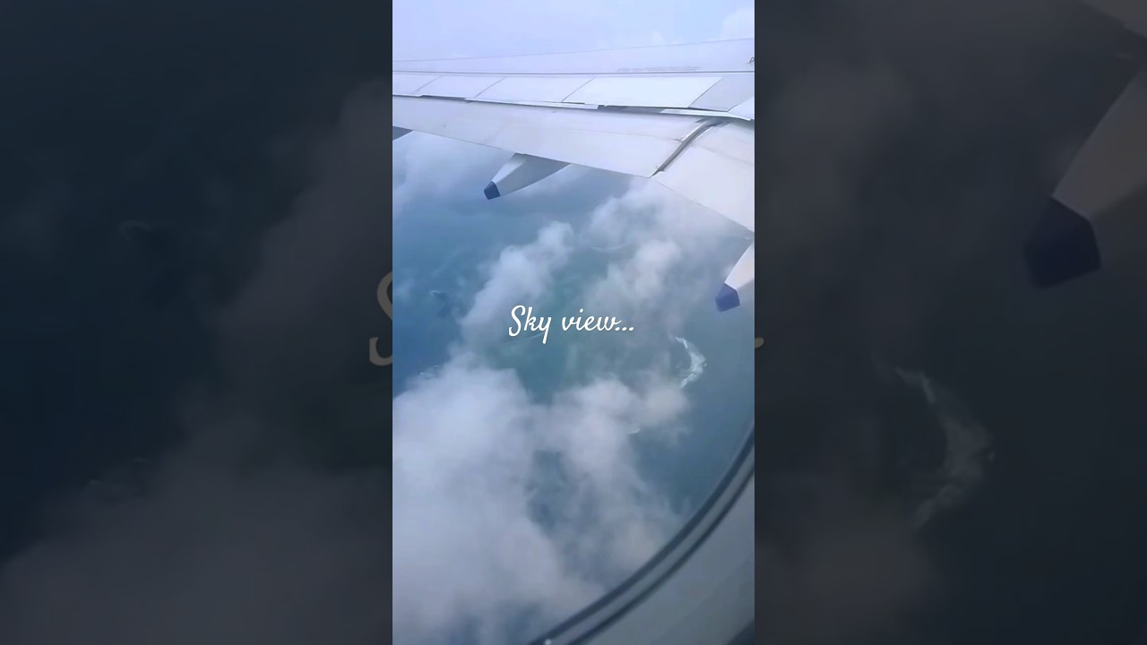 Flight view from window||
