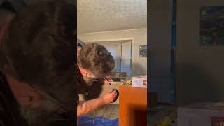 Install mounting clips on Karran drop in Quartz kitchen sink
