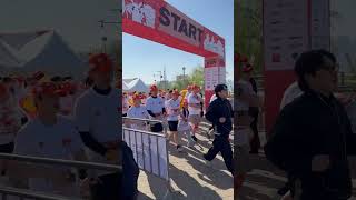 Magikarp run in Korea