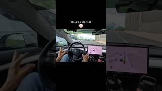 Tesla Autopilot Vs Indian Car Autopilot