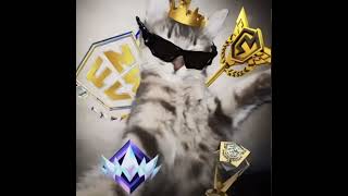 New Twitch streamer