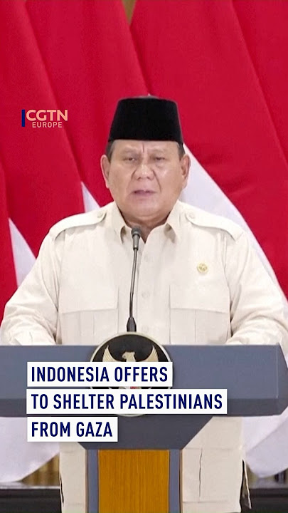 Indonesia tawarkan perlindungan bagi warga Palestina di Gaza