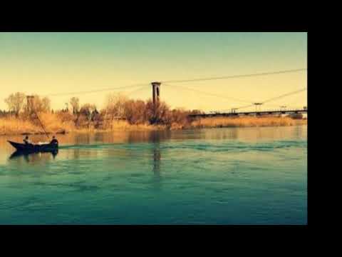 محمود انور ان الربيت