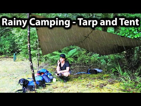 Rainy Camping With My DOG Relaxing Rain Sounds On Tent