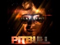 Pitbull Something For The DJs Feat Afrojack David Guetta mp3