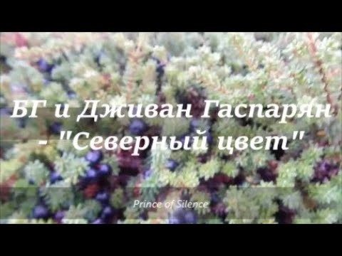 Борис Гребенщиков и