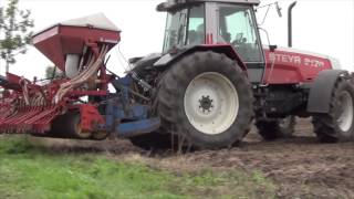 Senf Drillen mit Steyr 9170 und Accord (3m) + Rabe Kreiselegge (3m) Drillkombi + Farmer-GPS Teil 2