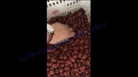 Commercial automatic red date seed removing pitting and opening machine