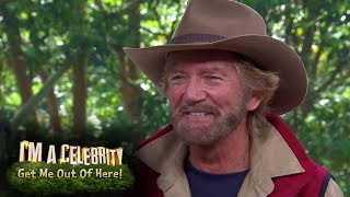 Noel Chats To Dec And Holly About His Time In The Jungle Im A Celebrity... Get Me Out Of Here
