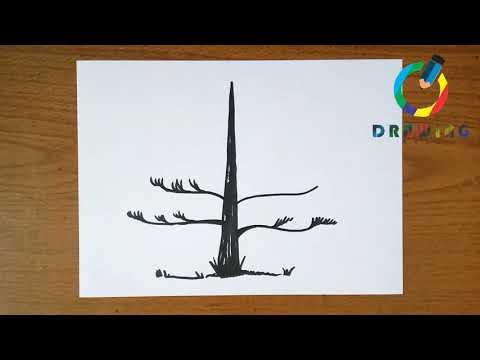 فيديو: كيفية رسم شجرة التنوب