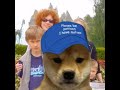 Vmumdoge  what you need to know