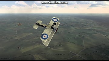Rise of Flight - Shooting down a Sopwith Pup