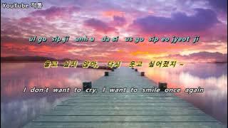 k-pop  [8090] ♬  미소속에 비친 그대 (Your Smile In My Memory) 1991 - 신승훈  (Shin Seung Hun) [Eng sub]