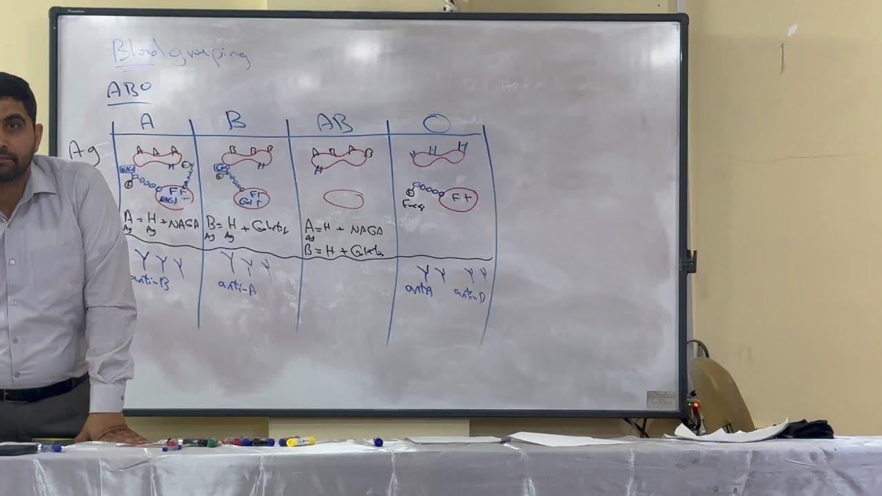 م21 / جزء4/ شرح جابتر 31 فسلجة كورس ثاني صيدلة (دكتور منتظر زميزم)