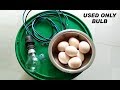 How to Make A Mini Egg Incubator At Home Using Only Bulb