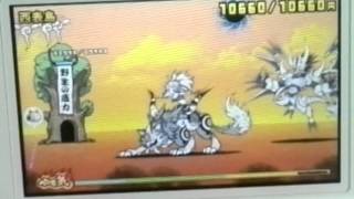 とびだす にゃんこ大戦争 ウルフとウルルン タマとウルルン紹介 Youtube