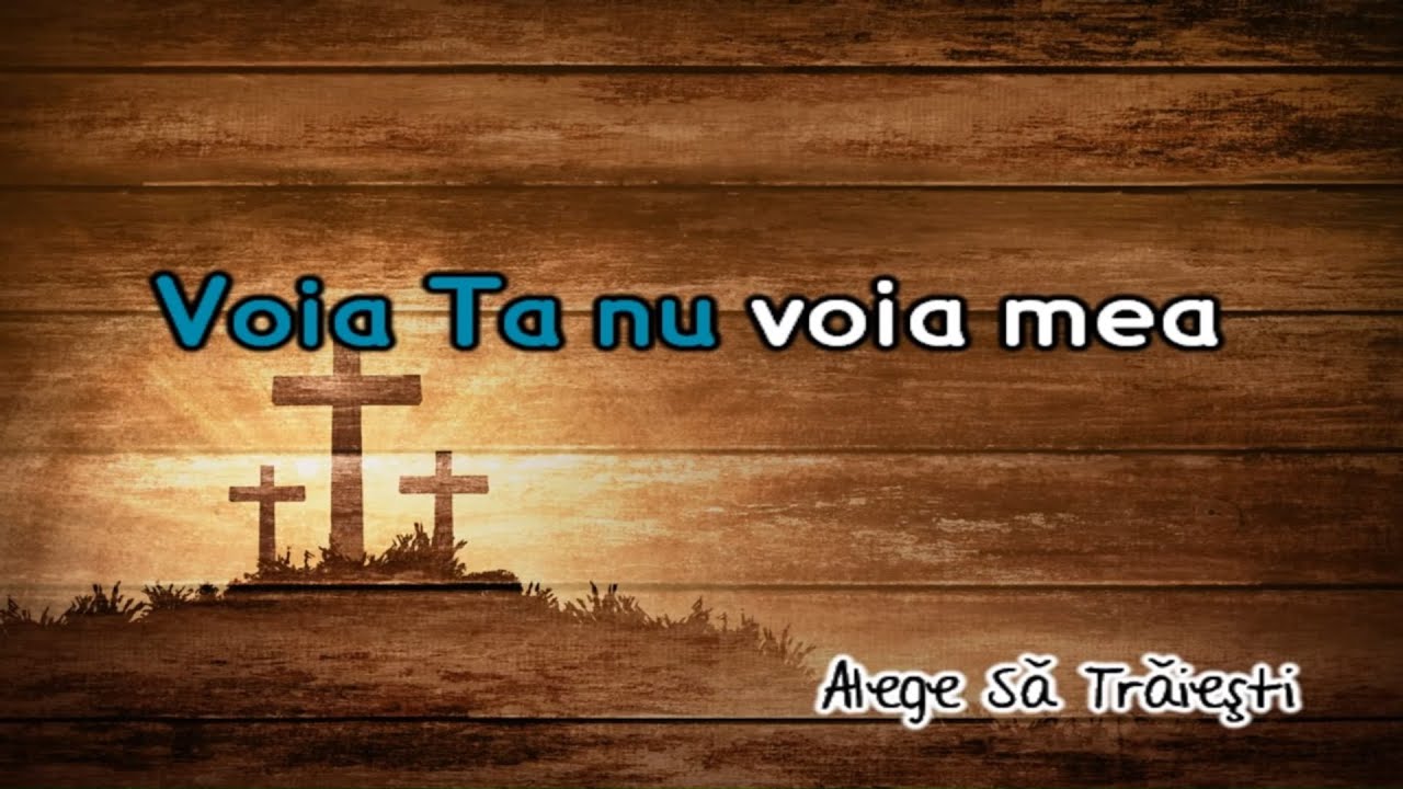 Voia Ta nu voa mea - Negativ Crestin