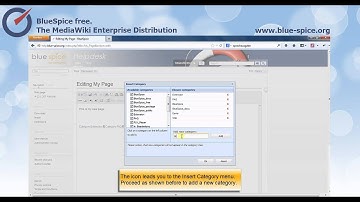 BlueSpice for MediaWiki: category (english)