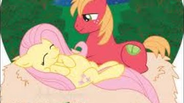 Smash Into You~ Fluttermac Tribute