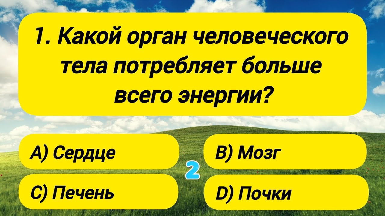 Вы точно эрудит, если ответите хотя бы на 17 вопросов