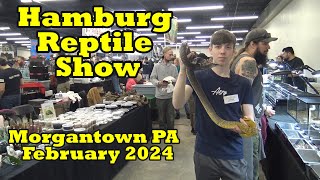 Hamburg Reptile Show Feb 2024