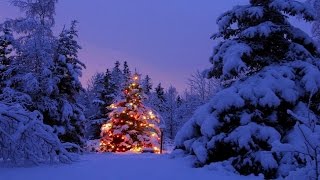 "Don't Be Away on Christmas Day"