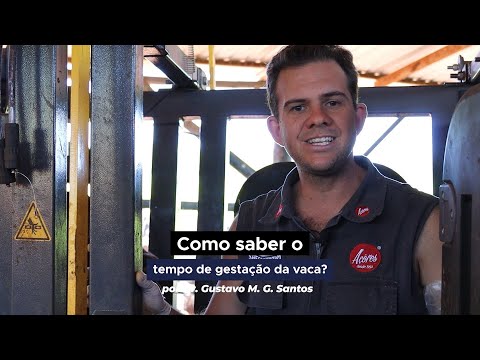 Vídeo: Moeda nacional da Itália