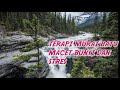 Terapi Murai Batu Macet Bunyi Dan Stres Mp3 - Mp4 Download