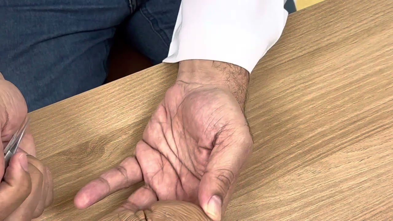 Cerebellum (practical 5)