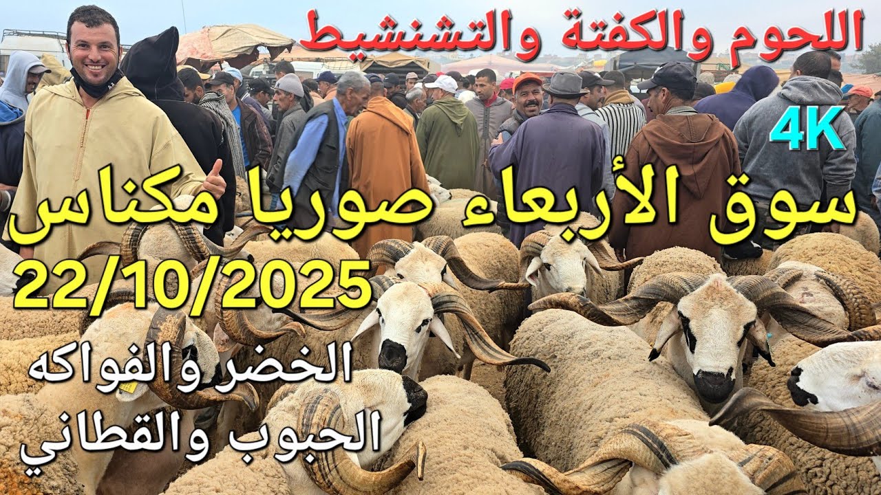 أثمنة الغنم والبقر واللحوم والخضر سوق الأربعاء صوريا مكناس اليوم 22/10/2025