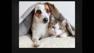 [Jigsaw HD][Winter Weekend][14][HEVC][1080p] screenshot 1