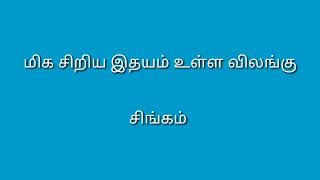 Tamil Nadu GK Quiz | General Knowledge | Tamil GK|வினா விடை
