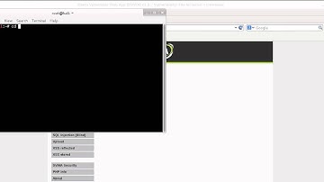 Website Hacking: Local File Inclusion Vulnerabilities. LFI