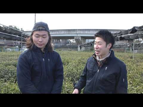 【「宇治をつくるひとびと 」 ~第2話宇治茶編① 茶園清水屋 清水太嗣さん・康平さん~】 hqdefault